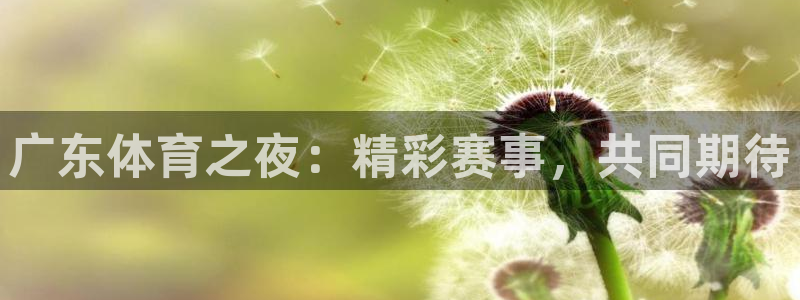 jrs直播nba在线直播吧：广东体育之夜：精彩赛事，共同期待
