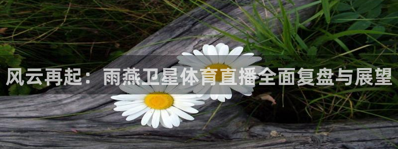 .直播吧：风云再起：雨燕卫星体育直播全面复盘与展望