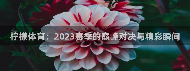 足球直播网直播吧：柠檬体育：2023赛季的巅峰对决与精彩瞬间