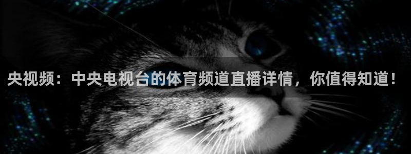 极速体育直播吧在线：央视频：中央电视台的体育频道直播详情，你值得知道！