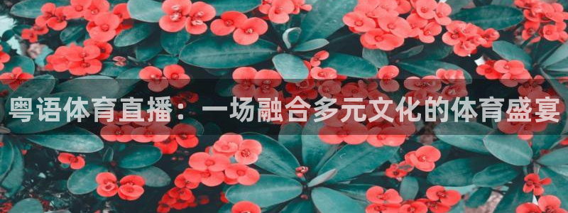 看直播吧：粤语体育直播：一场融合多元文化的体育盛宴